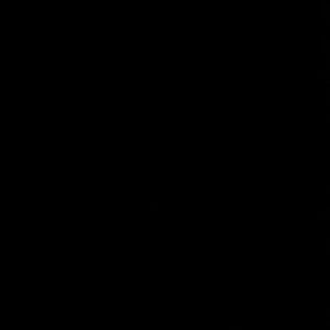 Meet your Posher, Briselda